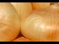 nasiona cebuli, cebula, siew cebuli, materiał siewny cebuli